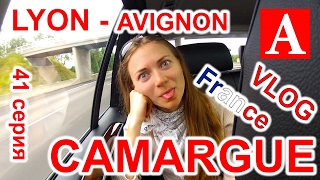 VLOG: НА ЮГ ФРАНЦИИ В АВИНЬОН!!! 41 серия