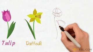 List of Flowers: Names of Flowers with Images