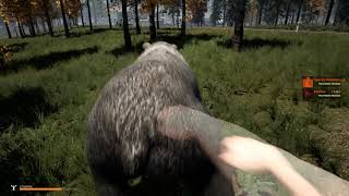 Гайд как укротить медведя голыми руками в игре mist survival Выживание в игре