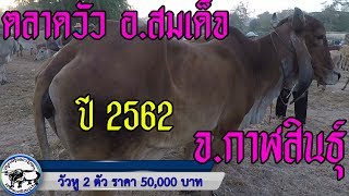 สำรวจราคาวัว⁉️ ที่ตลาดวัว-ควาย อ.สมเด็จ จ.กาฬสินธุ์ #เน้นวัวแม่ลูกและวัวหูสวยๆครับ