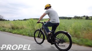 2020 Riese & Müller Delite Review