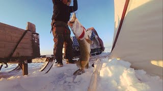ЗВЕРЬ ПОЙМАН!!! Лучшая рыбалка в Якутии! Yakutia