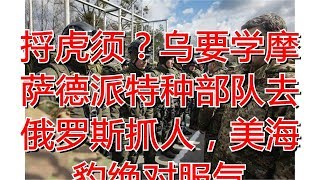 捋虎须？乌要学摩萨德派特种部队去俄罗斯抓人，美海豹绝对服气