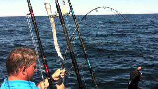 Bluefin Tuna Fishing Cape Cod 2011 - Get Reel Fishing