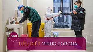 Ban Bí thư quyết tâm tiêu diệt virus corona | VTC Now