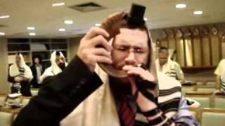 O Som do Shofar