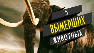 5 ВЫМЕРШИХ ЖИВОТНЫХ, которые могут быть живы