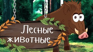 ДИКИЕ ЖИВОТНЫЕ В ЛЕСУ ?? Учим животных - развивающие мультики для малышей про животных на русском