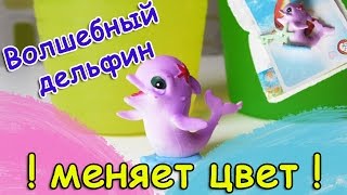 Игрушка меняет цвет в воде - Волшебный дельфин. Видео про игрушки. Открываем игрушки.