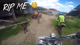 Chiens pas contents, grosses galères, exploration - ENDURO