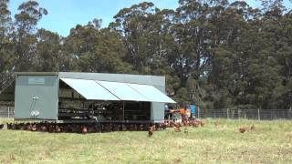 Charcol Springs Pastured Eggs