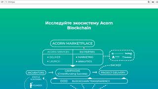 Accorn Collective ICO Обзор. Криптовалюта [OAK]