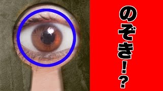 【都市伝説】のぞき！？