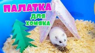 Игрушки для хомяка своими руками. Палатка для хомяка DIY | Simple Craft