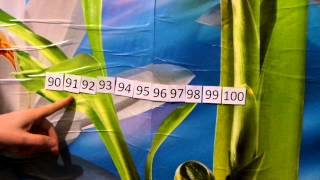 Счет по татарски от 90 до 100