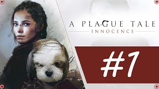 НАЧАЛО СИРОТСКИХ БУДНЕЙ ➤ A Plague Tale Innocence прохождение #1 | DemonSTRATOR Play