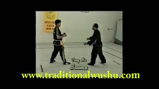 Grandmaster Lee Kam Wing 7 Star Mantis