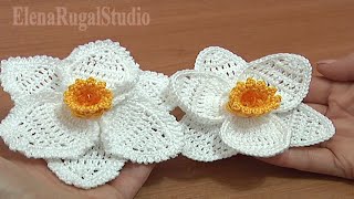 Crochet 3D Narcissus Flower Tutorial 68 Part 3 of 3 Crochet Daffodil