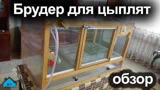 Брудер для цыплят своими руками