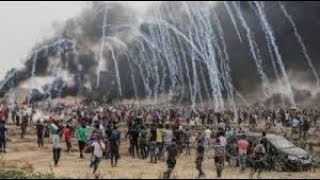 Dozens of Palestinians killed in Gaza ~ Prophecy Reminder
