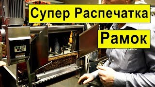 Новая Распечатка пчелиных сотов Автомат ✅ NUCLEUS ✅ Долина Меду