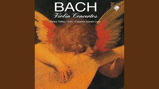 Concerto for 3 Violins, Strings & B.C. In D Major, BWV 1064: Adagio