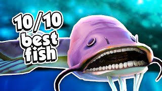 Catching the NEW CAVE FISH! New Cave Update - Catch and Release VR