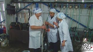 Конкурс профмастерства сельских тружеников прошел в Альметьевском районе