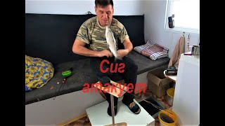 Сиг атакует:-)