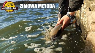 Zimowy method feeder na dystansie