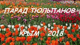 Парад тюльпанов, Крым 2018