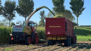 Mais Hakselen CLAAS Jaguar 870 | Fendt 718 & 722