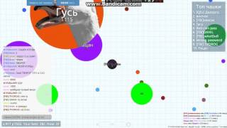 PetriDish 1# Нормик