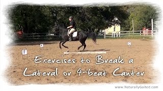 Exercises to Break a Pacey or 4 Beat Canter in the Gaited Horse