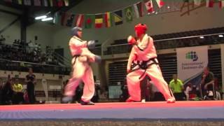 Great Taekwon Do fighters