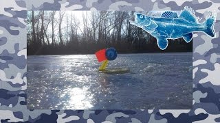 Ловля на жерлицы в оттепель. Зимняя рыбалка