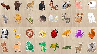 Развивающие мультики для самых маленьких Изучаем животных Мультфильмы Пазлы Все серии
