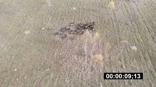 Что лучше РЕЛ или ЗСЛ? Видео с коптера.