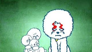 "사랑이 뭐길래~" 친형제에서 앙숙이 된 비숑프리제 형제 @TV 동물농장 20150517