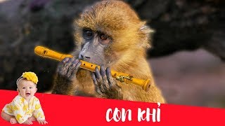 Dạy bé học nói con vật tiếng Việt | Con khỉ | Dạy trẻ thông minh sớm