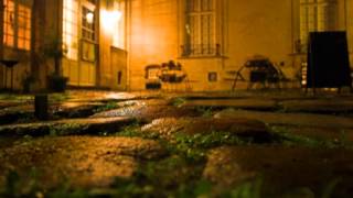 rain stops,good-bye　 歌ってみた。　コニー