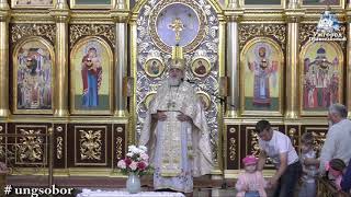 Собор Карпаторуськых Святых 26.052019 Прот. Димитрій Сидор (по-русинськы)