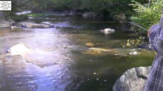 Uncle Steve Fishes By Franklinville Bridge