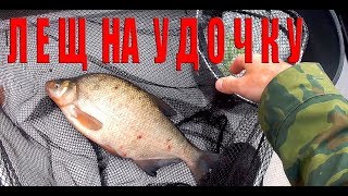 Ловля леща на поплавочную удочку