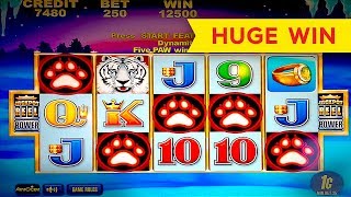 White Tiger Slot - 5 SYMBOL TRIGGER - BIG WIN BONUS!
