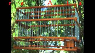 Jaula Para Pájaros "MOCOVI". Bird Cage.