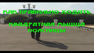 Как правильно ходить. Квадратная мышца поясницы.  How to walk. The square loin muscle