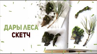 Скетч акварелью. Скетчинг для начинающих.Уроки Рисования