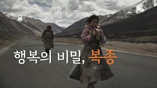 행복의비밀 복종 |행복을 얻는법| 마음공부|화이트레빗