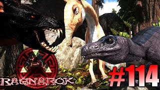 ARK: Ragnarok #114 - Deinonycanis zähmen, den Macrauchenia & ein High LVL Ravager! | LP Ark Deutsch